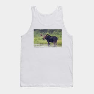 Bull Moose, Algonquin Park, Canada Tank Top